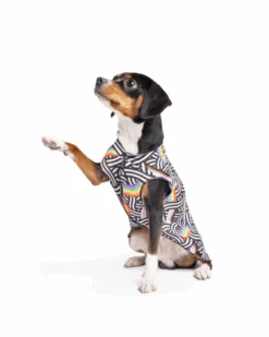 GOLD PAW Sun Shield Tee In Rainbow Pride Print (Made In The USA)