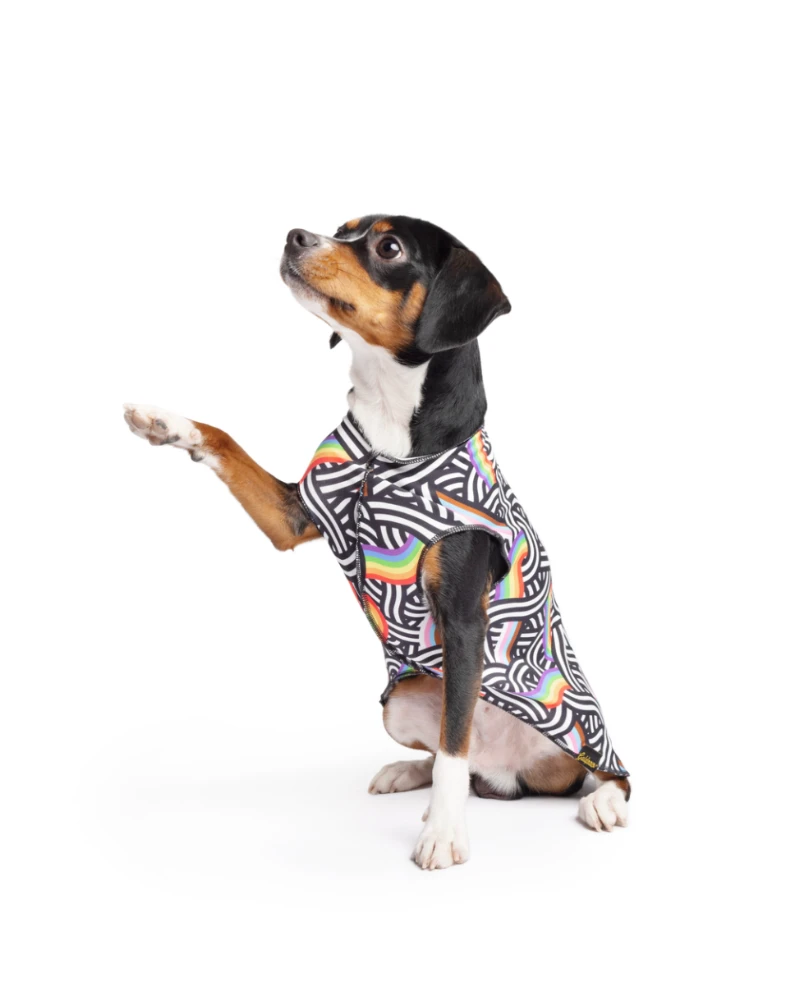 GOLD PAW Sun Shield Tee In Rainbow Pride Print (Made In The USA) 1 GOLD PAW Sun Shield Tee In Rainbow Pride Print (Made In The USA)