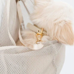 MONCHERI Mesh Dog Sling In Cafe Latte Or Black -Pet Sale Shop 2022 02 03112503 1024x1024 2x fd8a32a2 1389 43e8 a897 4211fd511a9a