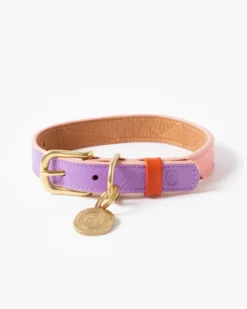 RAMONA FOR YOU Sweet Leather Dog Leash (Made In Guatemala) -Pet Sale Shop 21 1a647864 0d92 4b11 801e 287ae3014a45
