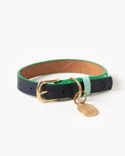 RAMONA FOR YOU Brave Leather Dog Collar (Made In Guatemala) -Pet Sale Shop 21 722d95c6 ac03 4ef1 b7c6 260a88e4fff1