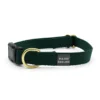 MAJOR DARLING Side-Release Buckle Dog Collar In Evergreen (Made In The USA)