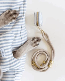 THE FOGGY DOG Flax Marine Rope Dog Leash (Made In The USA) -Pet Sale Shop 22 3df4b716 8da9 4af3 9093 25df13478d75