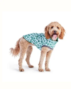 GF PET Reversible Waterproof Dog Raincoat In Green -Pet Sale Shop 23 ccd98492 b66d 4726 8fb4 ecb2daa4de5d