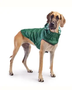 GF PET Reversible Waterproof Dog Raincoat In Green -Pet Sale Shop 24 57c3f2d9 f3d8 41d3 af10 b43e72f7f325