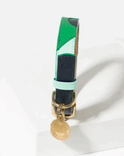 RAMONA FOR YOU Brave Leather Dog Collar (Made In Guatemala)