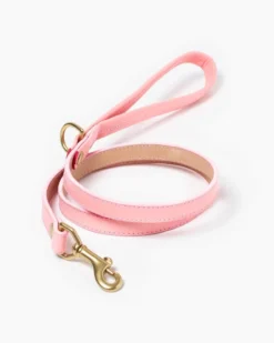 Pet Sale Shop 13 RAMONA FOR YOU Sweet Leather Dog Leash (Made In Guatemala)