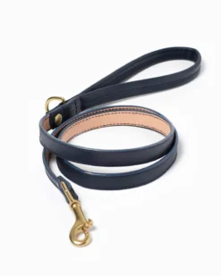 RAMONA FOR YOU Brave Leather Dog Collar (Made In Guatemala) -Pet Sale Shop 27 e6fc950a dfdd 4e2a 96c8 d95f871c8f7b