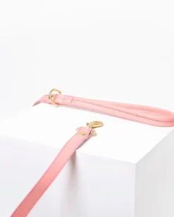 Pet Sale Shop -Pet Sale Shop 28 70f932fd b44e 4222 b8a3 01dfeead2278