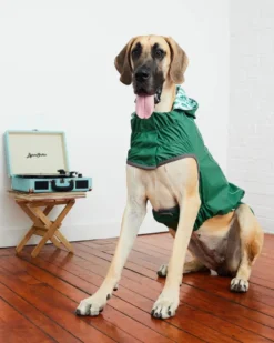 GF PET Reversible Waterproof Dog Raincoat In Green
