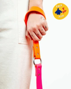DOG & CO. COLLECTION City Leash In Neon Pink & Neon Orange (4 Or 6 Foot) (Made In The USA)