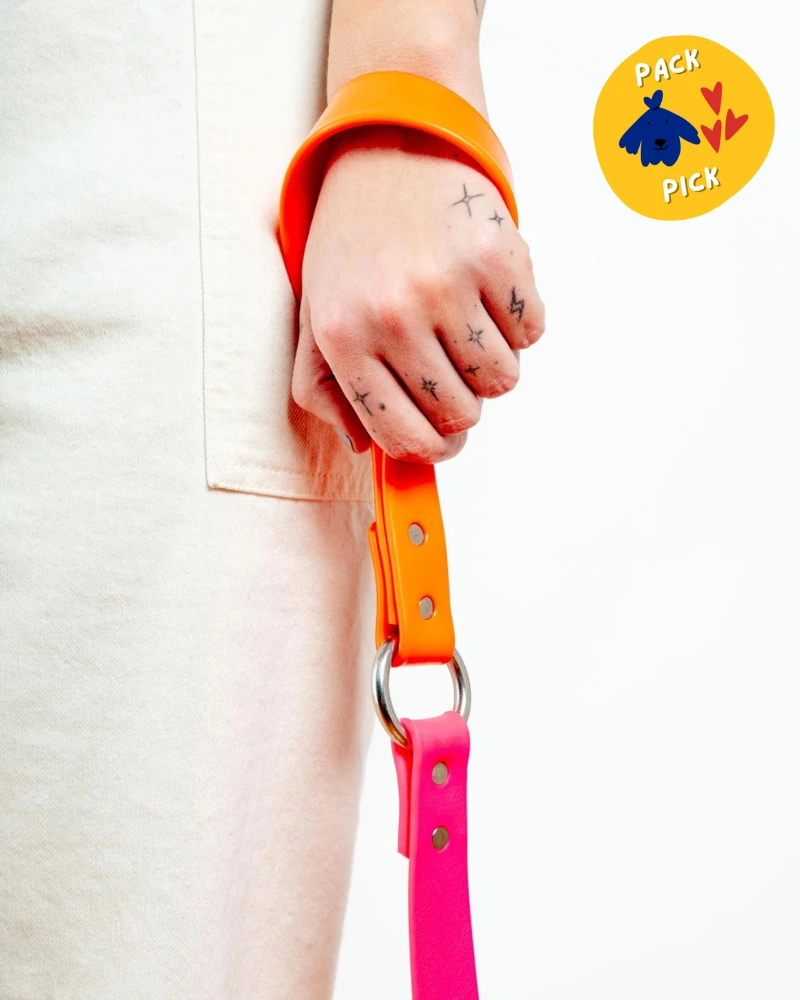 DOG & CO. COLLECTION City Leash In Neon Pink & Neon Orange (4 Or 6 Foot) (Made In The USA) 1 DOG & CO. COLLECTION City Leash In Neon Pink & Neon Orange (4 Or 6 Foot) (Made In The USA)