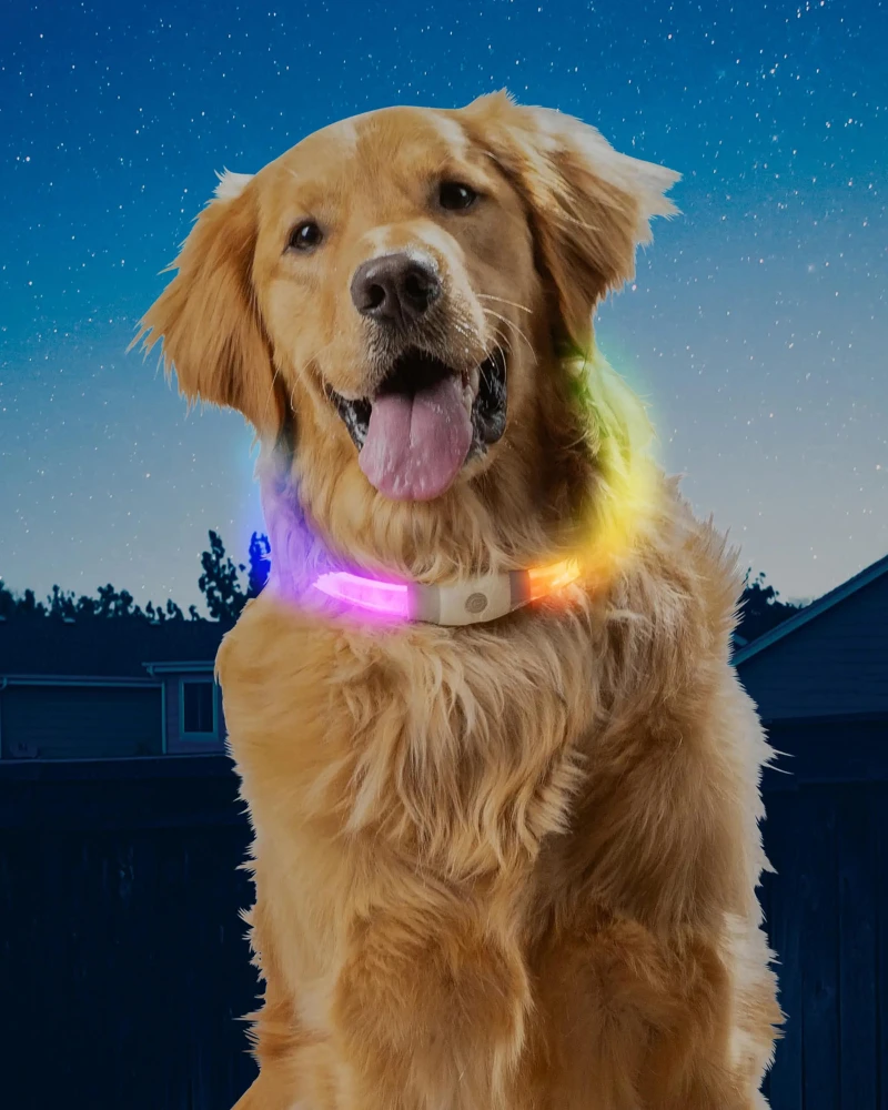 NITE IZE NITEHOWL® MAX Rechargeable Led Safety Dog Necklace 1 NITE IZE NITEHOWL® MAX Rechargeable Led Safety Dog Necklace