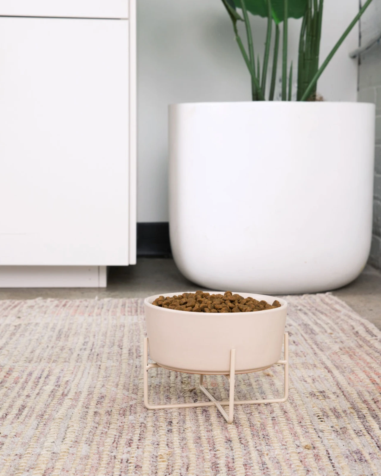 WAGGO Simple Solid Bowl + Bowl Stand In Matte Buttercream 2 WAGGO Simple Solid Bowl + Bowl Stand In Matte Buttercream - Image 2