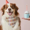 THE FOGGY DOG Rifle Paper Co. X TFD Birthday Candles Dog Bandana