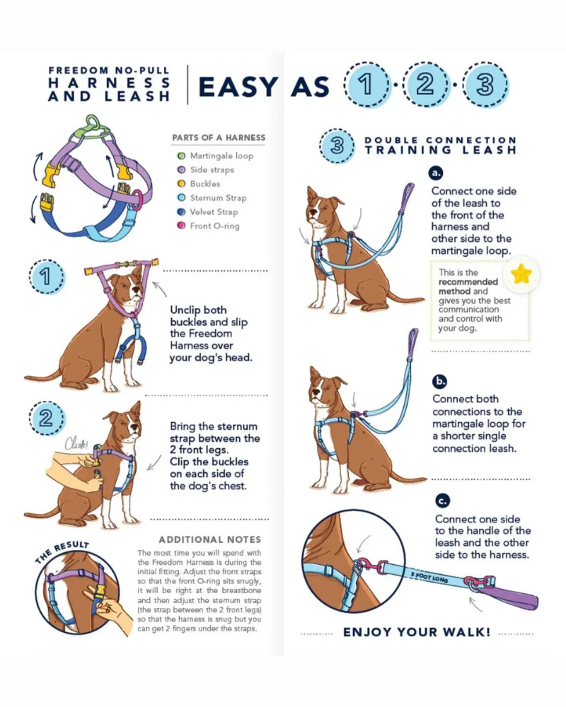 2 HOUNDS For DOG & CO. (Exclusive) Freedom No-Pull Harness In Neon Pink & Orange (Made In The USA) 7 2 HOUNDS For DOG & CO. (Exclusive) Freedom No-Pull Harness In Neon Pink & Orange (Made In The USA) - Image 7