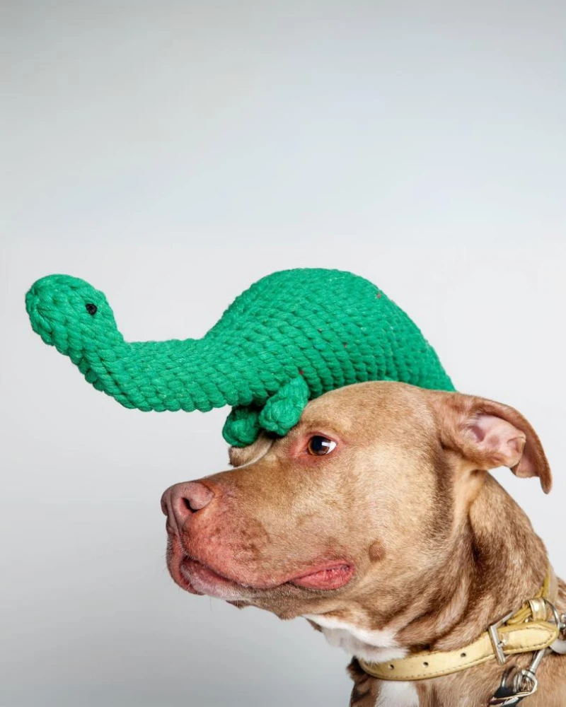 JAX & BONES Brent The Brontosaurus Rope Dog Toy 3 JAX & BONES Brent The Brontosaurus Rope Dog Toy - Image 3