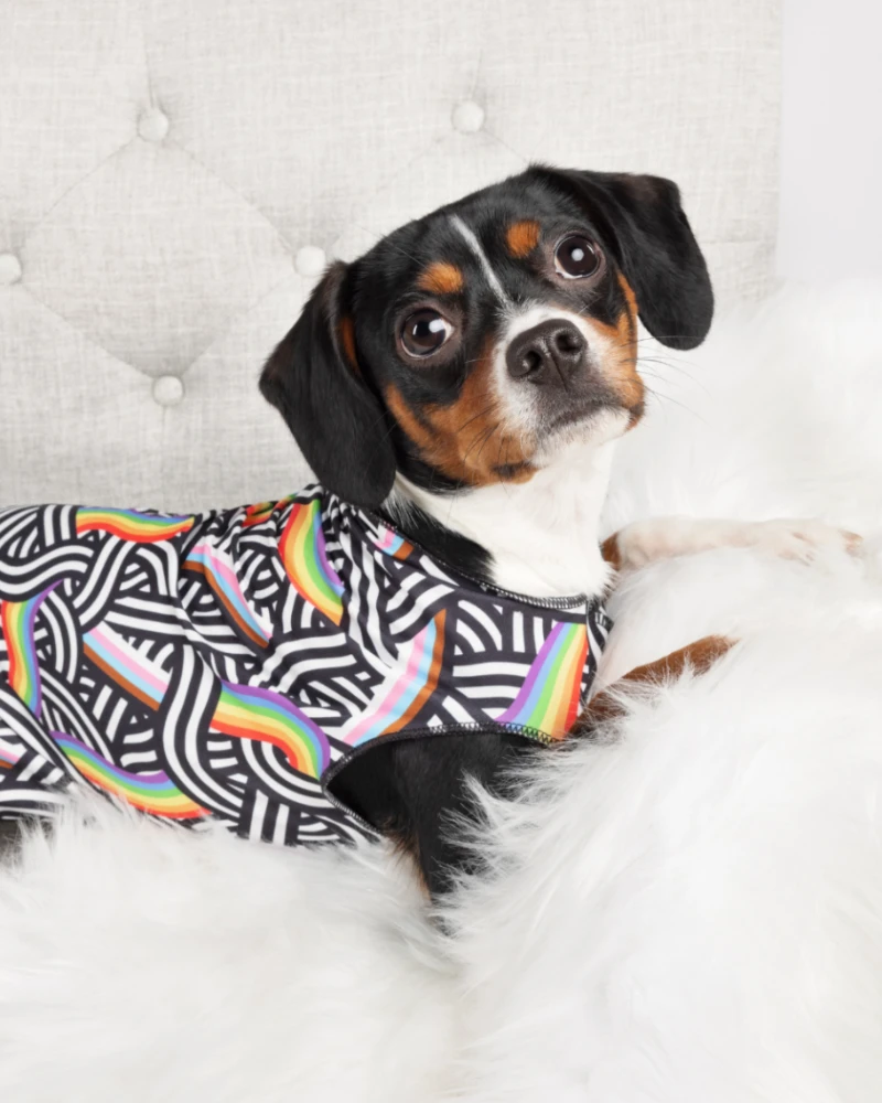 GOLD PAW Sun Shield Tee In Rainbow Pride Print (Made In The USA) 4 GOLD PAW Sun Shield Tee In Rainbow Pride Print (Made In The USA) - Image 4