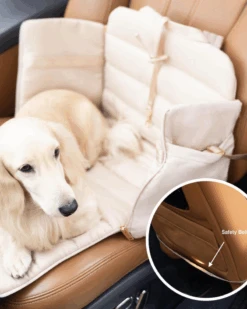 PUPS & BUBS Everywhere Convertible Tote Bag Pet Carrier 27 PUPS & BUBS Everywhere Convertible Tote Bag Pet Carrier -Pet Sale Shop 2 2708f42e b5f0 4614 a675 ded91a854783