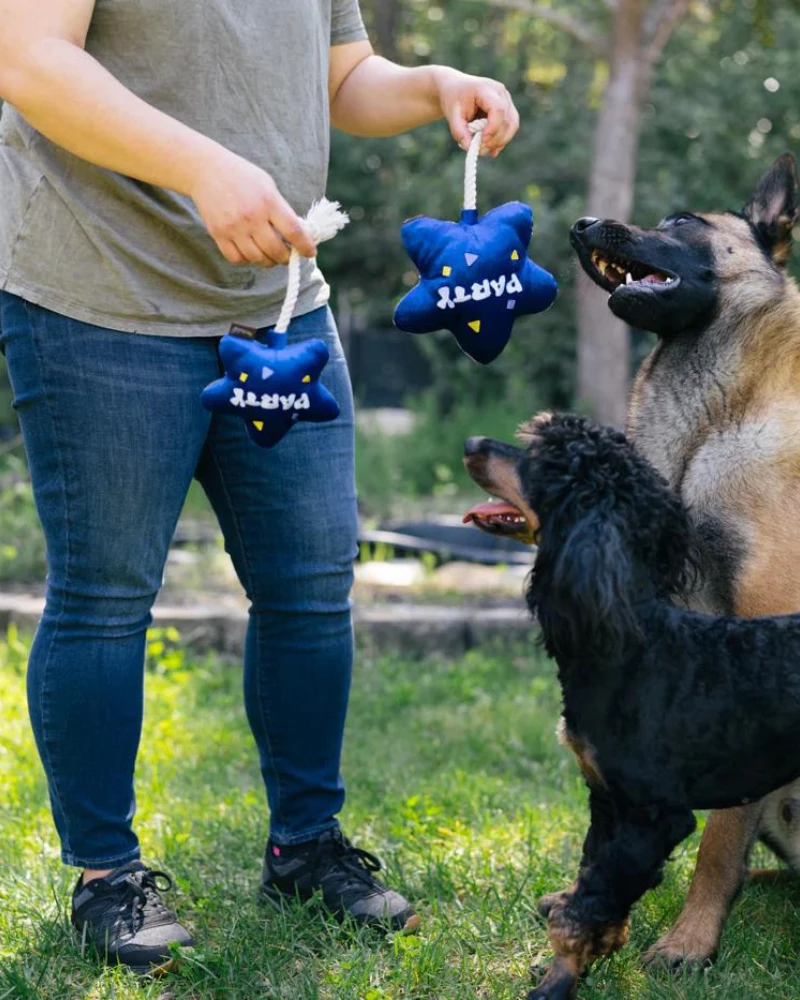 P.L.A.Y. Best Day Ever Balloon Squeaker Dog Toy 6 P.L.A.Y. Best Day Ever Balloon Squeaker Dog Toy - Image 6