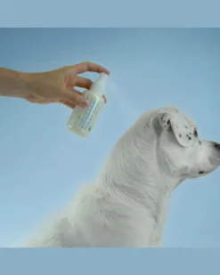 MUTT FRESH DOG CARE No Rinse Dry Shampoo Mists For Pets In Fresh Lavender (Made In The USA) 5 MUTT FRESH DOG CARE No Rinse Dry Shampoo Mists For Pets In Fresh Lavender (Made In The USA) -Pet Sale Shop 2 37865985 58ce 4b70 a6c5 d1101c5836fe