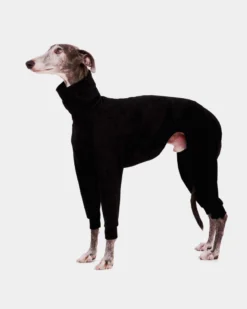 FORGALGO Dog Onesie In Black 7 FORGALGO Dog Onesie In Black -Pet Sale Shop 2 3ee5ec73 8c64 4f85 9de7 c5bae1aa1f84