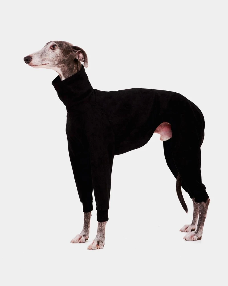 FORGALGO Dog Onesie In Black 3 FORGALGO Dog Onesie In Black - Image 3