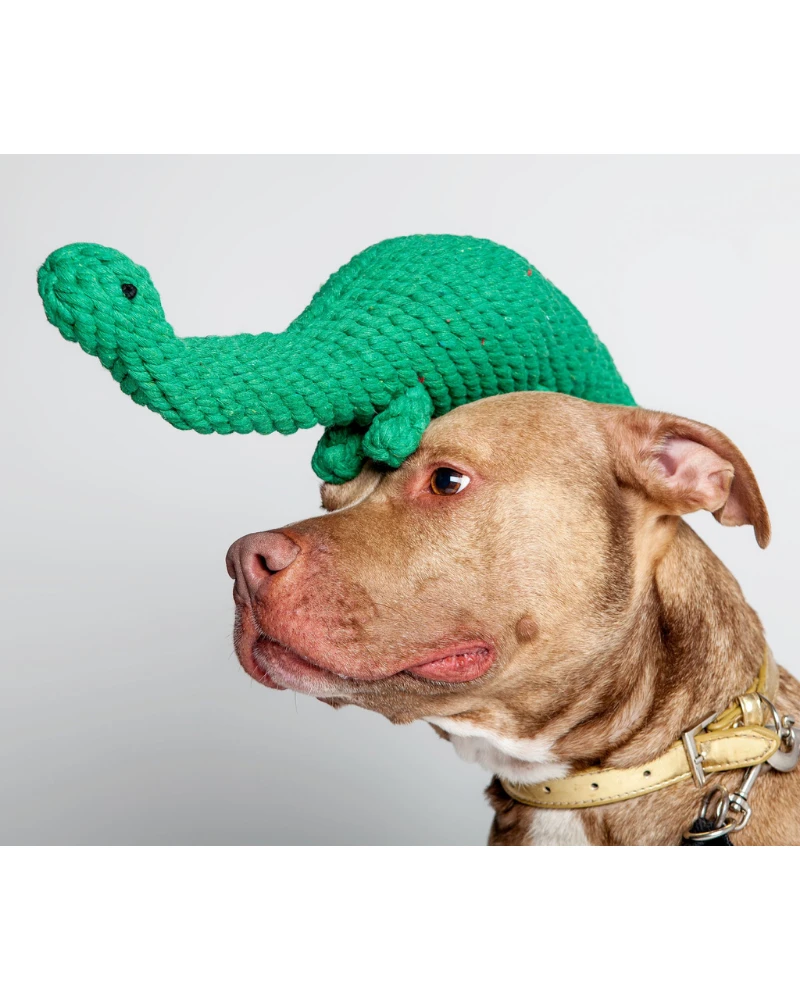 JAX & BONES Brent The Brontosaurus Rope Dog Toy 5 JAX & BONES Brent The Brontosaurus Rope Dog Toy - Image 5