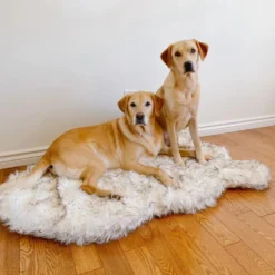 PAW Faux Fur Orthopedic Dog Bed - Curve White With Brown Accents (CLEARANCE) -Pet Sale Shop 2 4bbade62 64f6 45da a080 f476f2581469