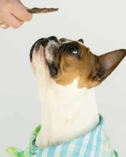 WINNIE LOU Sweet Potato & Lamb Crisp Dog Treats -Pet Sale Shop 2 58443534 5eae 45cb 8fd5 6f57a1c4f232