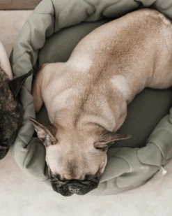 LAMBWOLF COLLECTIVE Taart Reversible Donut Pet Bed (FINAL SALE) -Pet Sale Shop 2 59e4f957 f0e6 4eba 8dff 17359398682f