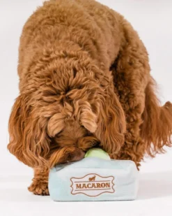 P.L.A.Y. Mutt-A-Rons Squeaky Dog Toy 10 P.L.A.Y. Mutt-A-Rons Squeaky Dog Toy -Pet Sale Shop 2 5ed4a4d5 c2eb 4452 8a75 3aa9871c703c