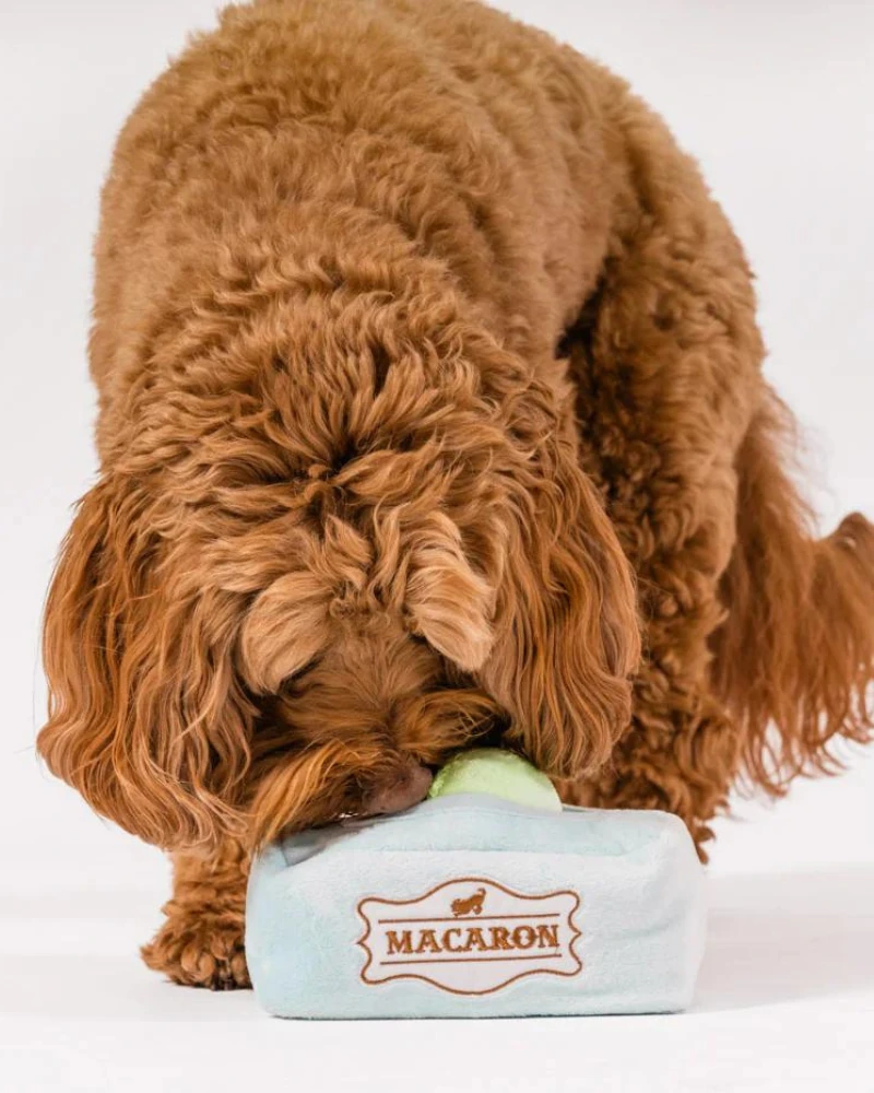 P.L.A.Y. Mutt-A-Rons Squeaky Dog Toy 4 P.L.A.Y. Mutt-A-Rons Squeaky Dog Toy - Image 4