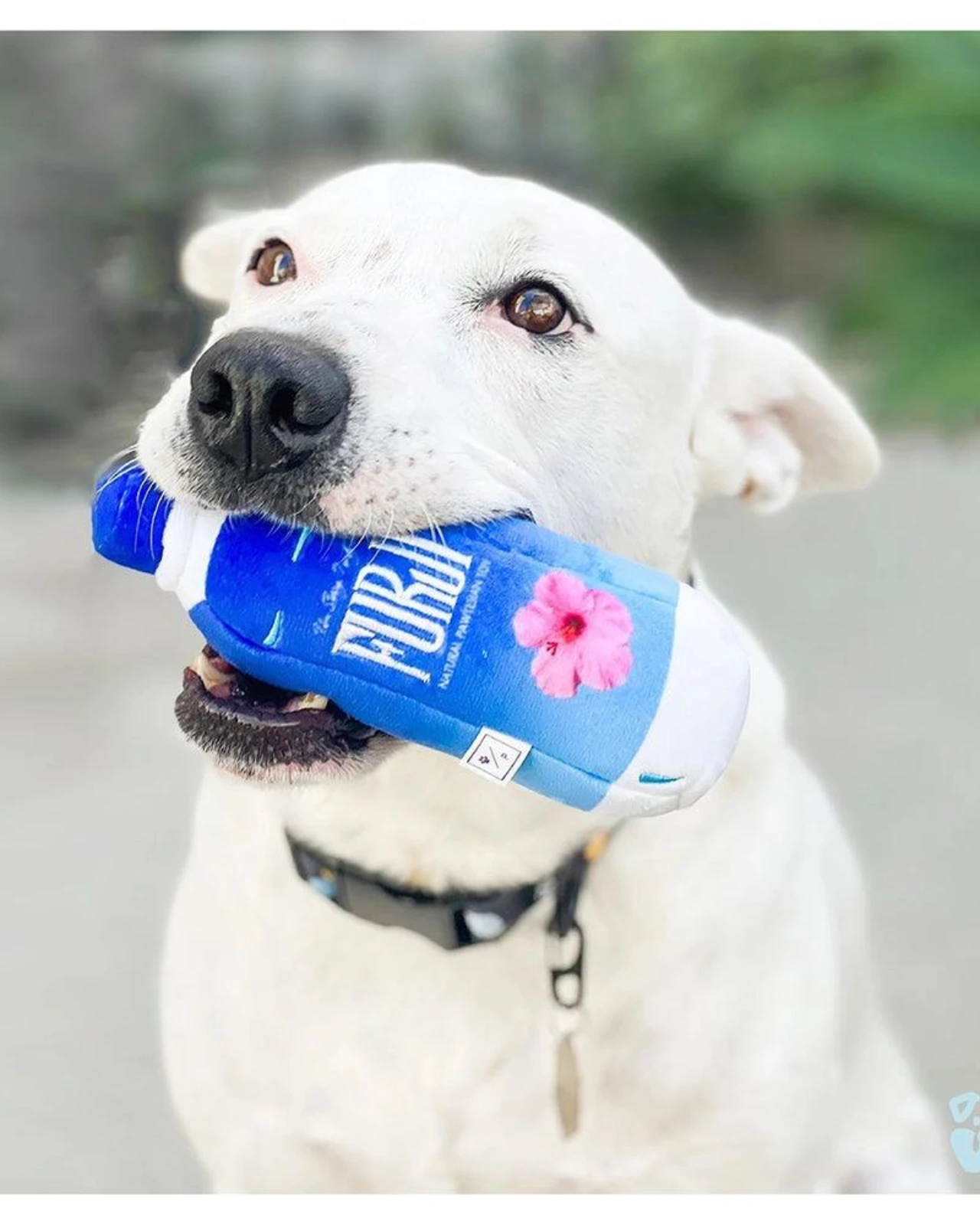 PAWTY DOG TOYS Furji Squeaky Plush Dog Toy 2 PAWTY DOG TOYS Furji Squeaky Plush Dog Toy - Image 2