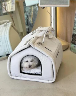 SSOOOK 2-In-1 Pet Bed W/ Handles In Black Or Beige 10 SSOOOK 2-In-1 Pet Bed W/ Handles In Black Or Beige -Pet Sale Shop 2 727398a3 b255 4313 939d 94eeb6ff22fb