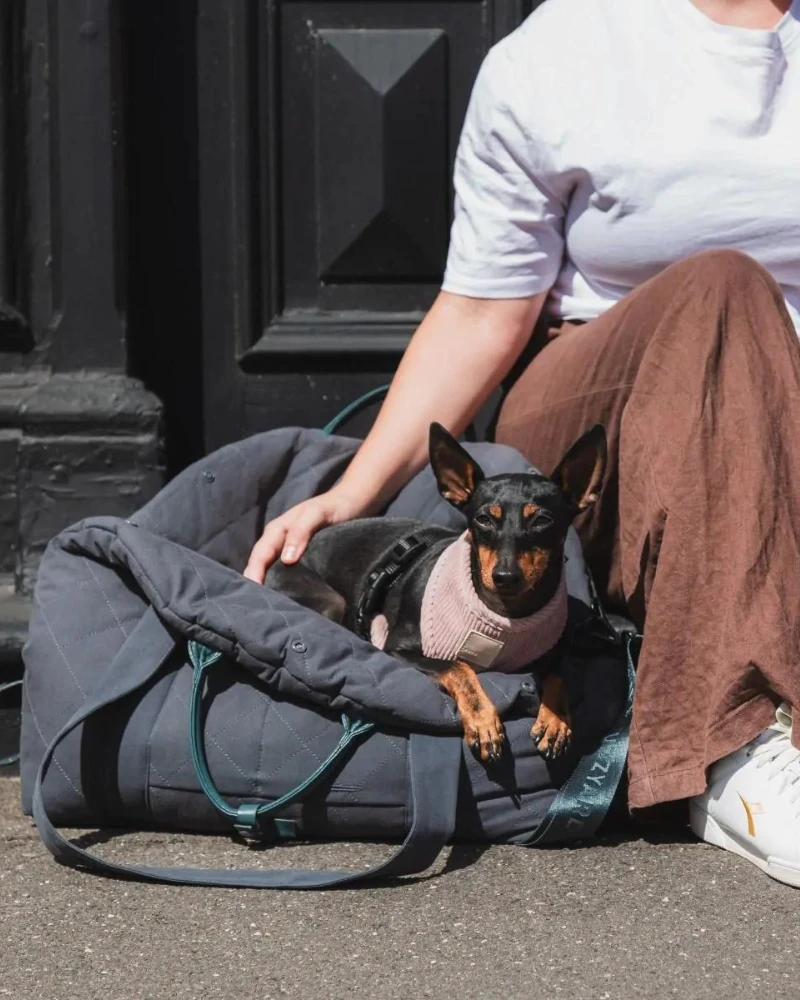 FUZZYARD Multipurpose Carrier & Car Seat 4 FUZZYARD Multipurpose Carrier & Car Seat - Image 4