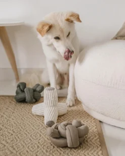 LAMBWOLF COLLECTIVE Nou Interactive Silent Dog Toy In Tan