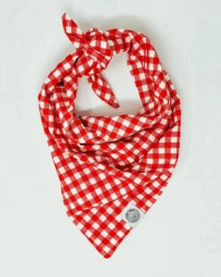 CAMP HOUND Red Gingham Picnic Dog Bandana (Made In The USA)