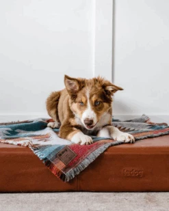 LE DOG Orthopedic & Cooling Leather Dog Bed (Drop-Ship) -Pet Sale Shop 2 8927ff85 60bb 4346 a743 ae959144a9e0