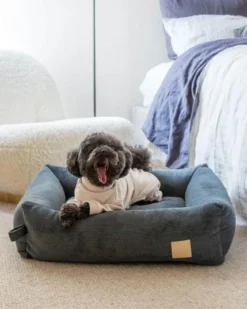 FUZZYARD Soft Touch Dog Onesie In Sandstone Or Myrtle Green (FINAL SALE) -Pet Sale Shop 2 967869a3 d6f0 45a9 a2b6 ef2ac028ff74