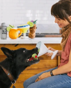 P.L.A.Y. Martini Squeaky Plush Dog Toy -Pet Sale Shop 2 9cd7a113 68ee 4b40 90d7 17d609304be7