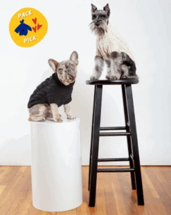 DOG & CO. COLLECTION Downtown Roll Neck Dog Sweater In Natural 12 DOG & CO. COLLECTION Downtown Roll Neck Dog Sweater In Natural -Pet Sale Shop 2 b2ee20b7 8747 4702 9973 01000abdea80