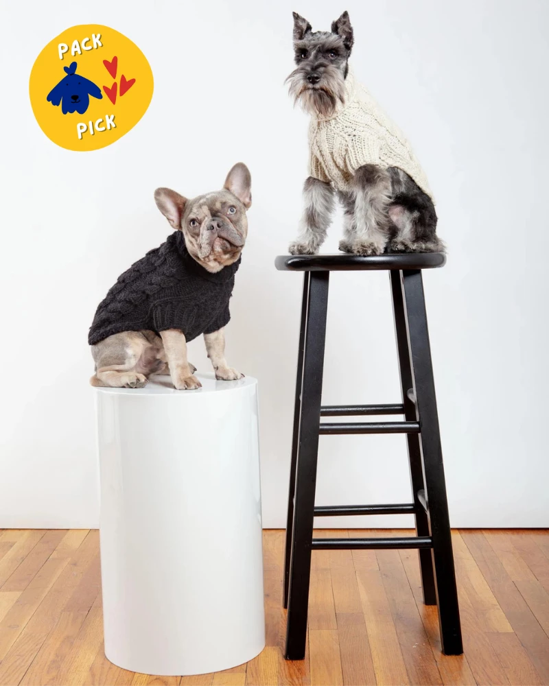 DOG & CO. COLLECTION Downtown Roll Neck Dog Sweater In Natural 3 DOG & CO. COLLECTION Downtown Roll Neck Dog Sweater In Natural - Image 3