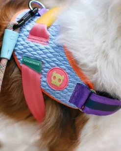 ZEE.DOG Flyharness In Galaxy For Dogs -Pet Sale Shop 2 b594d1f4 f99b 411d b79f 3c67862086e0