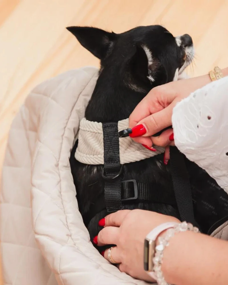 FUZZYARD Quilted Crossbody Dog Sling 4 FUZZYARD Quilted Crossbody Dog Sling - Image 4