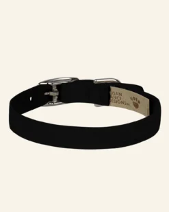 SUSAN LANCI DESIGNS Ultrasuede Dog Collar (Made In The USA) 6 SUSAN LANCI DESIGNS Ultrasuede Dog Collar (Made In The USA) -Pet Sale Shop 2 b775a223 0548 44d1 bbed a323c4d4a4b3