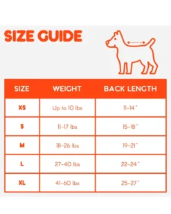 VERLOOP Checkerboard Dog Sweater In Lime & Cobalt (FINAL SALE) -Pet Sale Shop 2 cbf05ccf 30a5 4cae 8084 c99b224b33a4