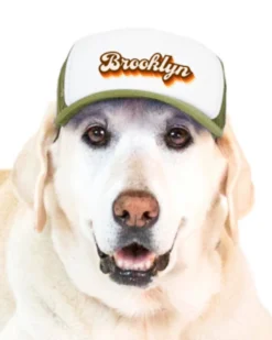 PUPLID Brooklyn Pet Trucker Hat (DOG & CO. EXCLUSIVE) -Pet Sale Shop 2 cc46d9ff 465d 4fe2 a156 4e58e3f119c3