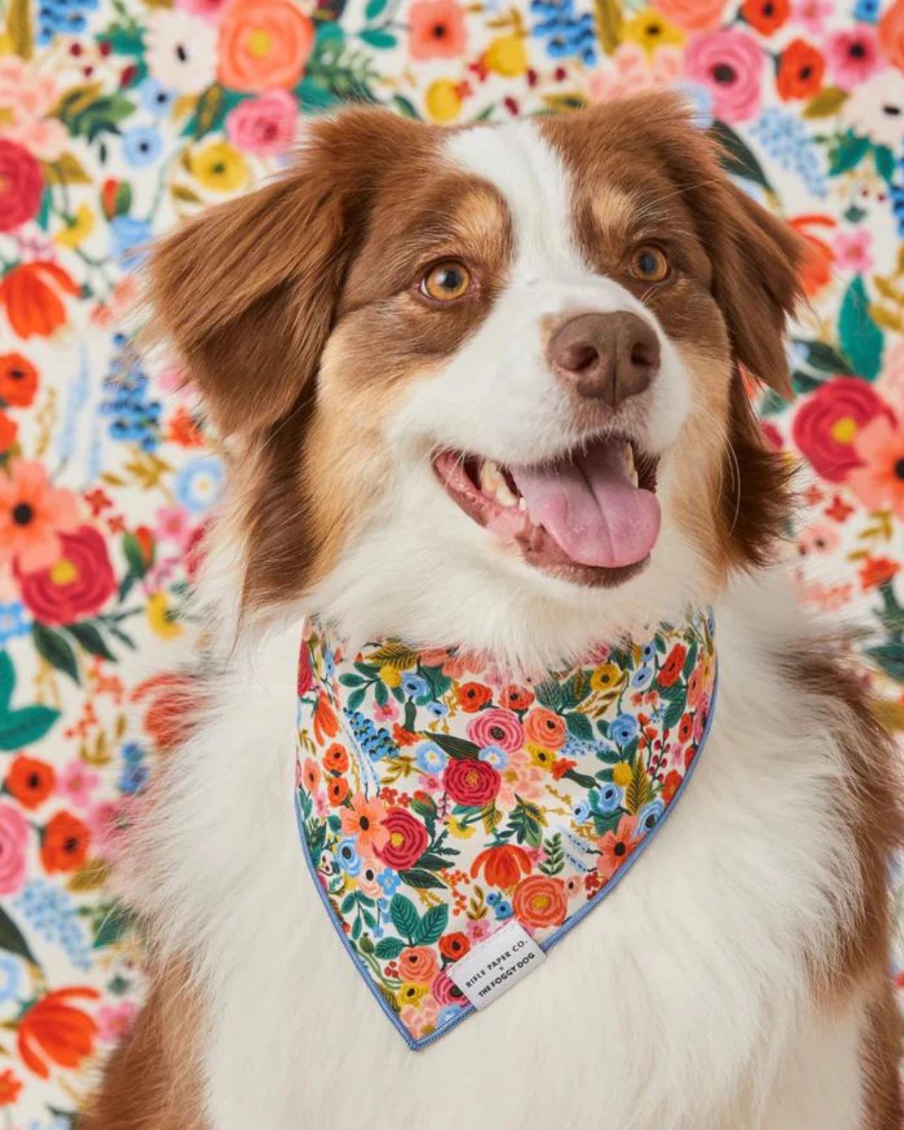 THE FOGGY DOG Rifle Paper Co. X Tfd Garden Party Spring Dog Bandana (Made In The USA) 2 THE FOGGY DOG Rifle Paper Co. X Tfd Garden Party Spring Dog Bandana (Made In The USA) - Image 2