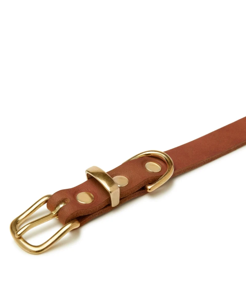 MOLLY & STITCH Butter Leather Dog Collar In Sahara Cognac (Made In Austria) 3 MOLLY & STITCH Butter Leather Dog Collar In Sahara Cognac (Made In Austria) - Image 3